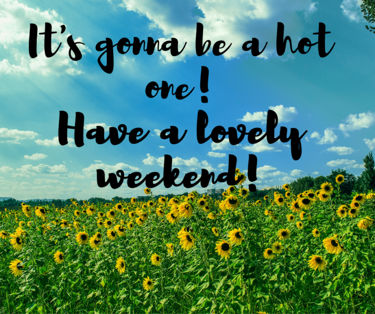 The Forecast Is A Hot One Wishing You All A Lovely Weekend In The Sun Home From Home Agency Ltd 7554